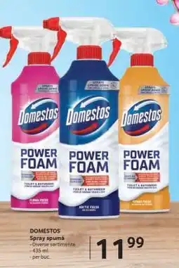 Selgros DOMESTOS Ofertă