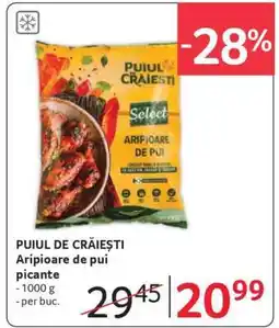 Selgros PUIUL DE CRĂIEȘTI Ofertă