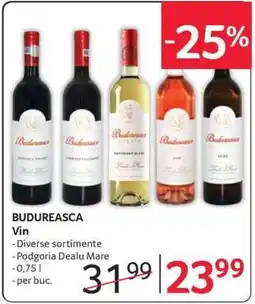 Selgros BUDUREASCA Vin Ofertă