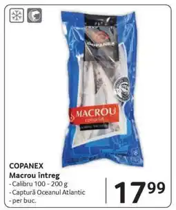 Selgros COPANEX Macrou întreg Ofertă