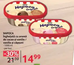 Selgros NAPOCA Înghețată cu aromă de cacao şi vanilie / vanilie și căpşuni Ofertă