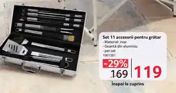 Selgros Set 11 accesorii pentru grătar Ofertă