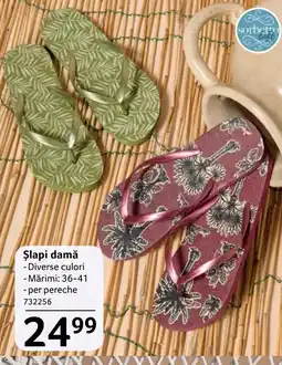 Selgros Șlapi damă Ofertă