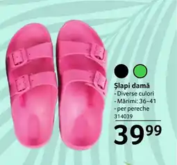 Selgros Șlapi damă Ofertă