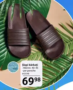 Selgros Șlapi bărbați Ofertă