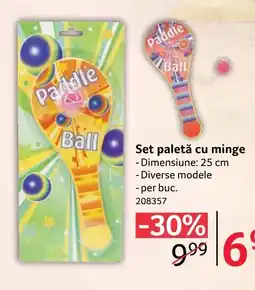 Selgros Set paletă cu minge Ofertă