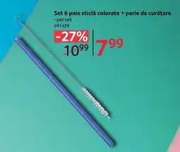 Selgros Set 6 paie sticlă colorate + perie de curățare Ofertă