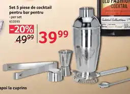 Selgros Set 5 piese de cocktail pentru bar pentru Ofertă