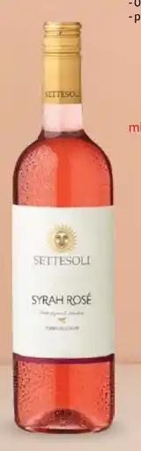 Selgros SETTESOLI Vin Ofertă