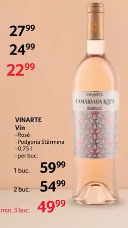Selgros VINARTE Vin Ofertă