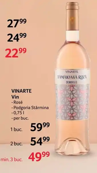 Selgros VINARTE Vin Ofertă