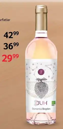 Selgros DUH Vin Ofertă