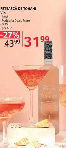 Selgros FETEASCĂ DE TOHANI Vin Ofertă