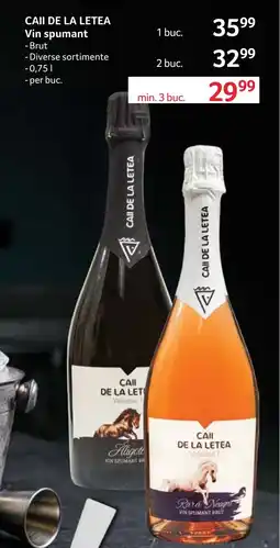 Selgros CAII DE LA LETEA Vin spumant Ofertă