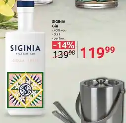 Selgros SIGNIA Gin Ofertă