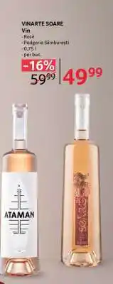 Selgros VINARTE SOARE Ofertă