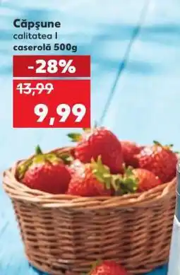 Kaufland Căpşune Ofertă