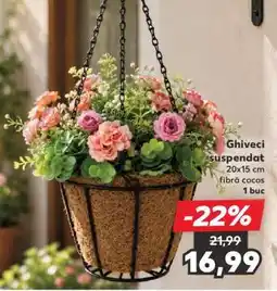 Kaufland Ghiveci suspendat Ofertă