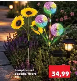 Kaufland Lampă solară păpădie/floare Ofertă