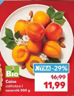 Kaufland Caise Ofertă