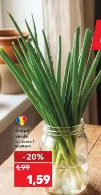 Kaufland Ceapă verde Ofertă