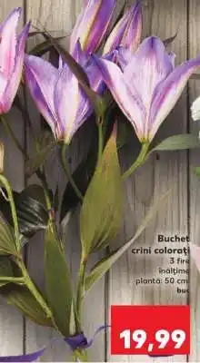 Kaufland Buchet crini colorați Ofertă