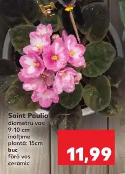 Kaufland Saint Paulia Ofertă
