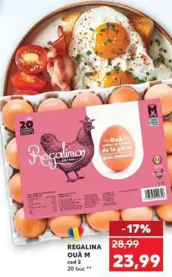 Kaufland REGALINA OUĂ M Ofertă