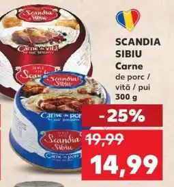 Kaufland SCANDIA SIBIU Ofertă