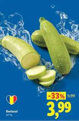 Lidl Dovlecei Ofertă
