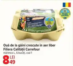 Carrefour Ouă de la găini crescute în aer liber Filiera Calității Carrefour Ofertă
