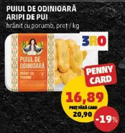 Penny PUIUL DE ODINIOARĂ ARIPI DE PUI Ofertă