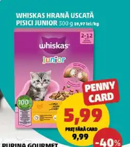 Penny WHISKAS HRANĂ USCATĂ PISICI JUNIOR Ofertă
