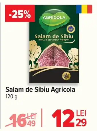 Carrefour Salam de Sibiu Agricola Ofertă