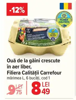 Carrefour Ouă de la găini crescute în aer liber, Filiera Calității Carrefour Ofertă
