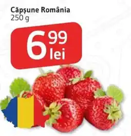 Supeco Căpşune România Ofertă
