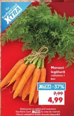 Kaufland Morcovi Legătură Ofertă