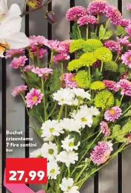 Kaufland Buchet crizanteme 7 fire santini Ofertă