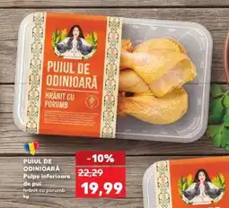 Kaufland PUIUL DE ODINIOARĂ Ofertă