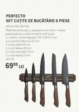 Selgros PERFECTO SET CUȚITE DE BUCĂTĂRIE 6 PIESE Ofertă