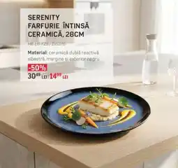 Selgros SERENITY FARFURIE ÎNTINSĂ CERAMICĂ, 28CM Ofertă