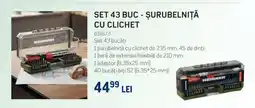 Selgros SET 43 BUC - ȘURUBELNIȚĂ CU CLICHET Ofertă