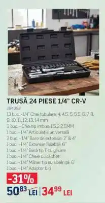 Selgros TRUSĂ 24 PIESE 1/4” CR-V Ofertă
