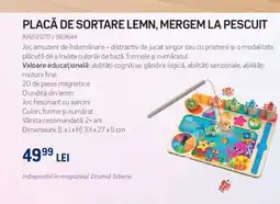 Selgros PLACĂ DE SORTARE LEMN, MERGEM LA PESCUIT Ofertă