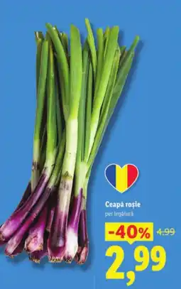 Lidl Ceapă roşie Ofertă