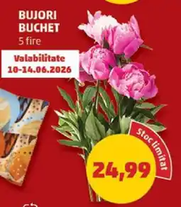 Penny BUJORI BUCHET Ofertă