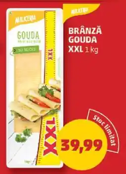 Penny BRÂNZĂ GOUDA XXL 1 kg Ofertă
