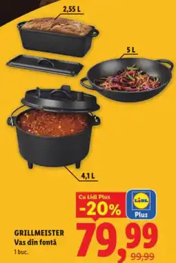 Lidl GRILLMEISTER Vas din fontǎ Ofertă