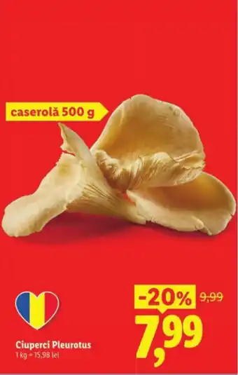 Lidl Ciuperci Pleurotus Ofertă
