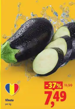Lidl Vinete Ofertă